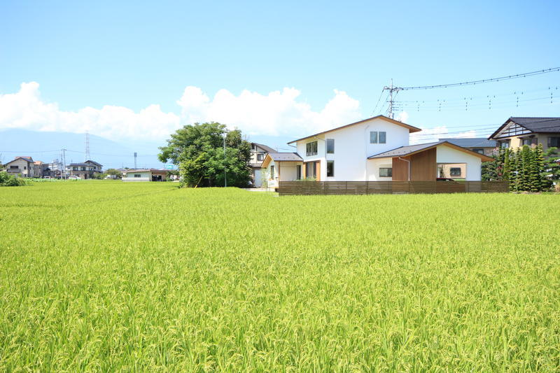 景色に馴染む家